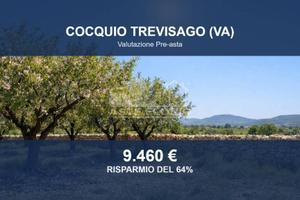 Immobile in asta di 4780 m² a Cocquio-Trevisago