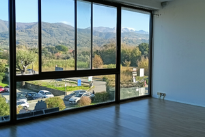 Caniparola (ms) locale commerciale