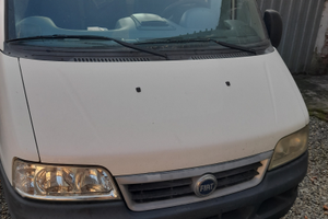 Fiat ducato cassonato turbo 2,3