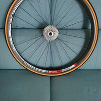 Ruota posteriore bici da corsa DT SWISS in carboni