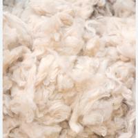 Lana - a manti - per materassi e cuscini