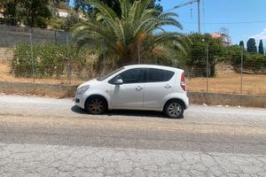 Suzuki splash