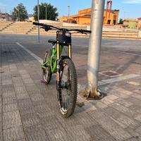 Bici DH