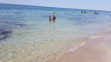 Bilocale a pochi passi dal mare