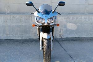 Fzs1000 Fazer fmi