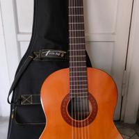 Chitarra acustica