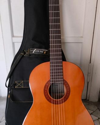Chitarra acustica
