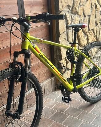 Bici mountain bike