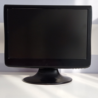 Monitor LCD 19 pollici