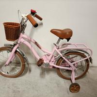 bicicletta Vintage 