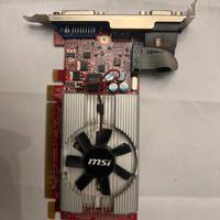 Scheda video msi n520gt