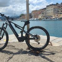 Bici elettrica WHISTLE B-RUSH