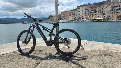 Bici elettrica WHISTLE B-RUSH