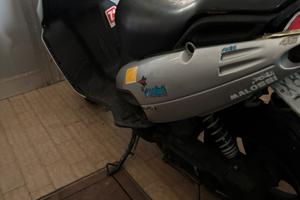 Malaguti phantom f12