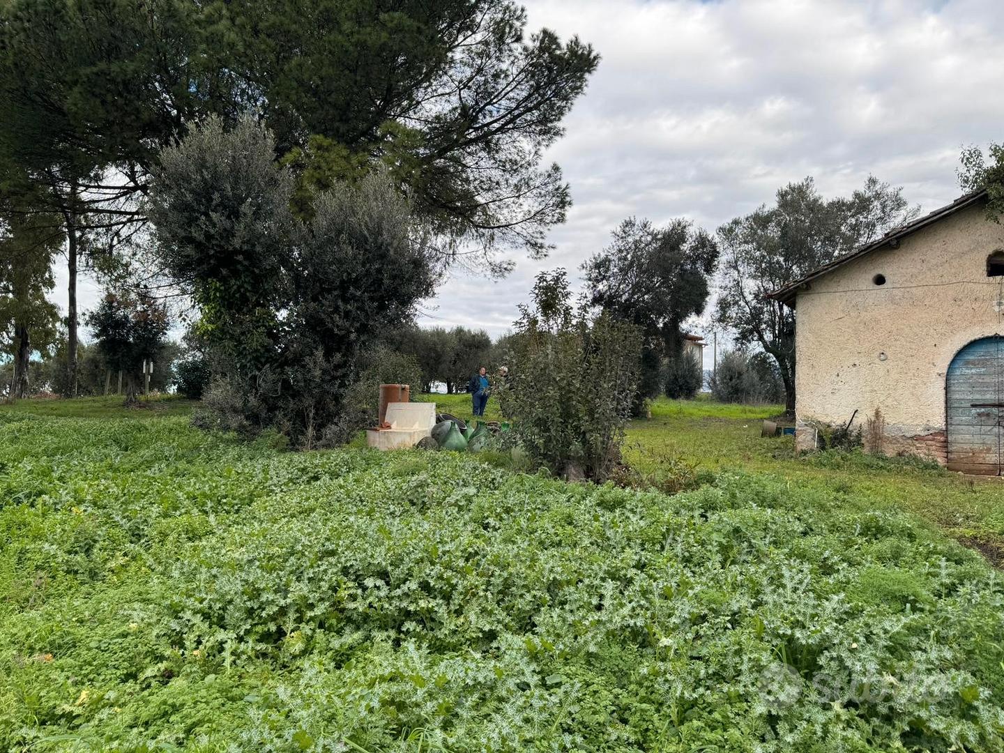 Casale abitativo - Vista 2