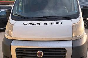 ducato max volume