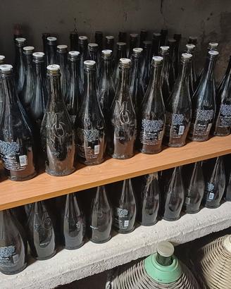 bottiglie e bottiglioni