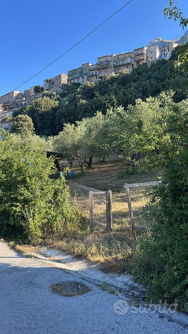 Terreno agricolo - Vista 6