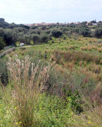 Terreno di 6816 m² a Ragusa