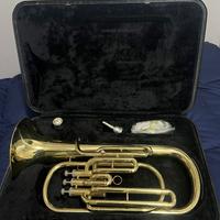 Flicorno Roling’s BR-1220/L