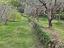 Immagine 14