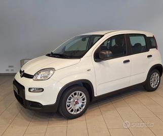 Noleggio breve medio termine Fiat Panda