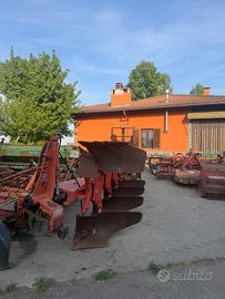 Aratro quadrivomero kuhn