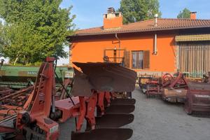 Aratro quadrivomero kuhn
