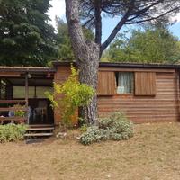 Roulotte con casetta in legno