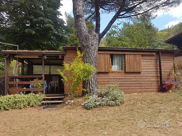 Roulotte con casetta in legno