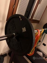 Palestra entry-level completa