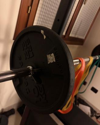 Palestra entry-level completa