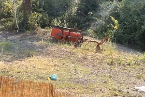 Carraro tigrone 4000
