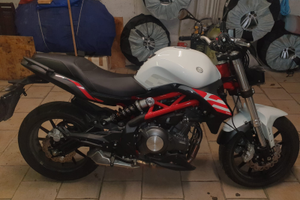 Benelli 302S Neopatentati