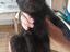 Immagine 3