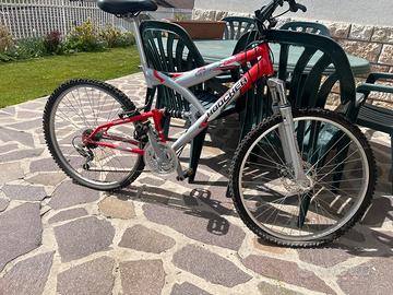 Bicicletta