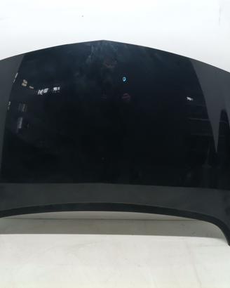 COFANO ANTERIORE OPEL Astra J 39014121 (09>)