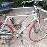 Bici corsa GIUBILATO