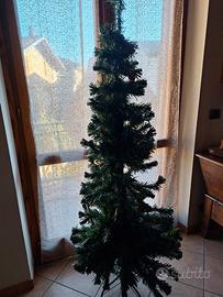 albero di matale