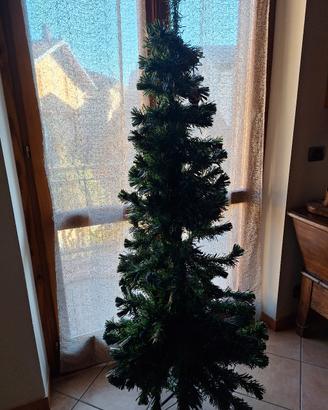 albero di matale