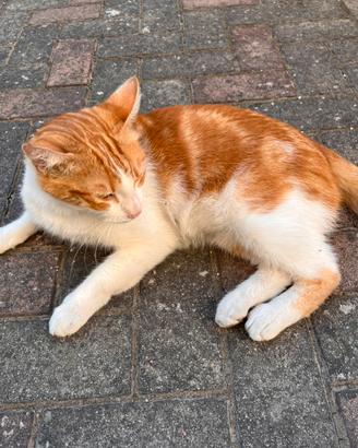 Artù