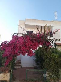 Villetta autonoma in residence sullo Ionio