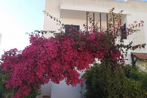 Villetta autonoma in residence sullo Ionio