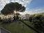 Immagine 7