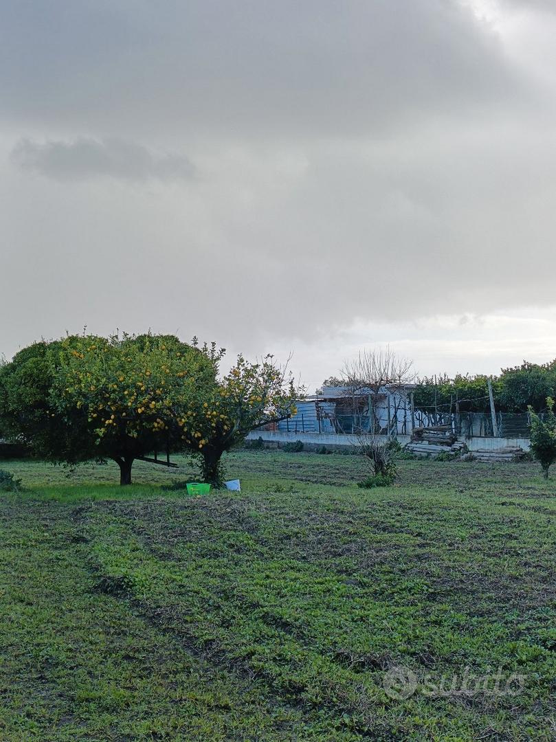 Terreno agricolo - Vista 3
