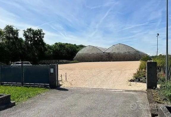 Vendita all'asta - terreno agricolo con serre in d