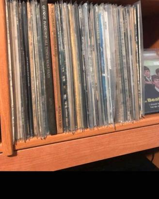 dischi in vinile 