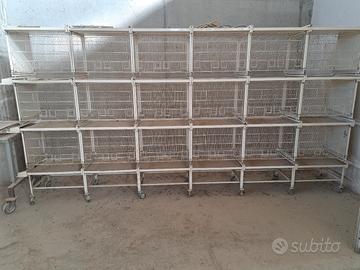 gabbie sistema carta