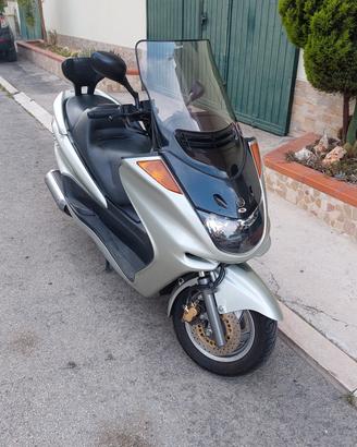 majesty yamaha