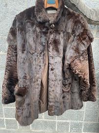 pelliccia di breitschwanz